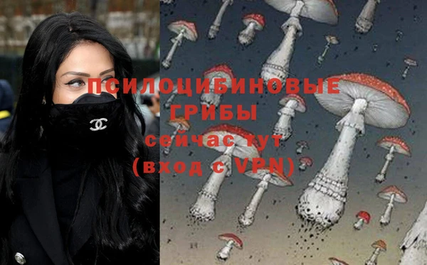 кокаин колумбия Алексин